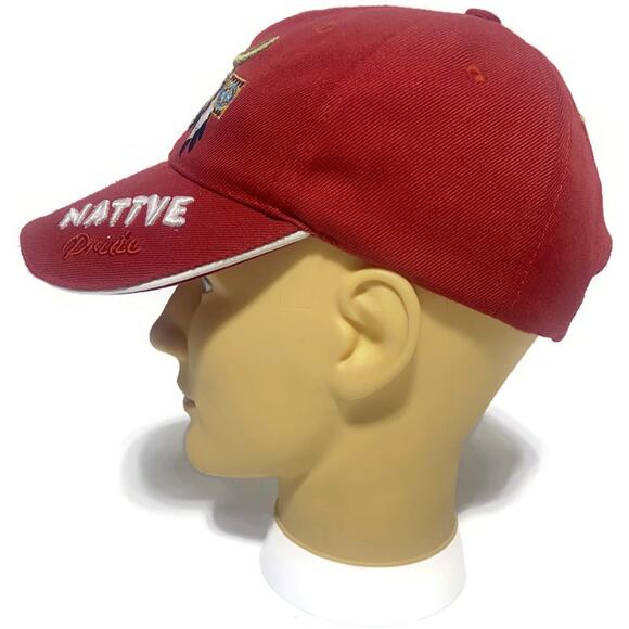 American Indian Native Pride Ball Cap Red Buffalo Skull Embroidered Adjustable - Picture 3 of 8